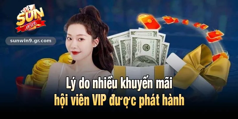 Lý do nhiều khuyến mãi hội viên VIP được phát hành