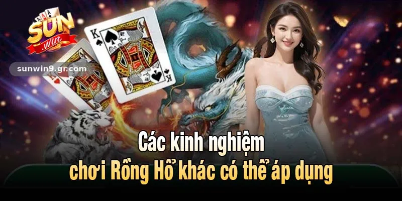 Các kinh nghiệm chơi Rồng Hổ khác có thể áp dụng