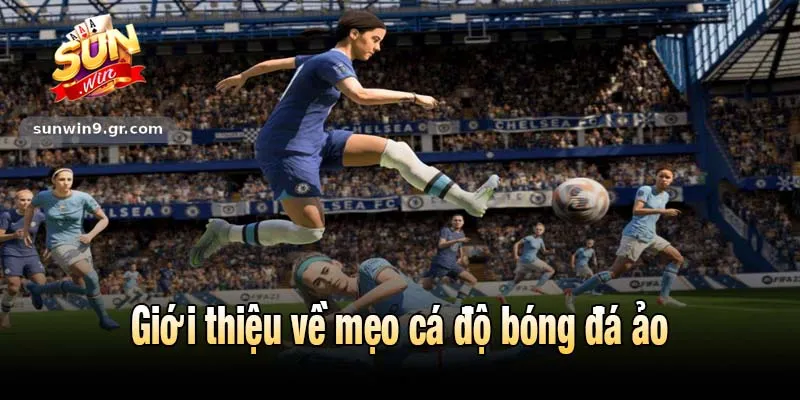Giới thiệu về mẹo cá độ bóng đá ảo