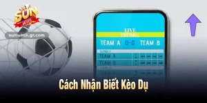 Cách Nhận Biết Kèo Dụ